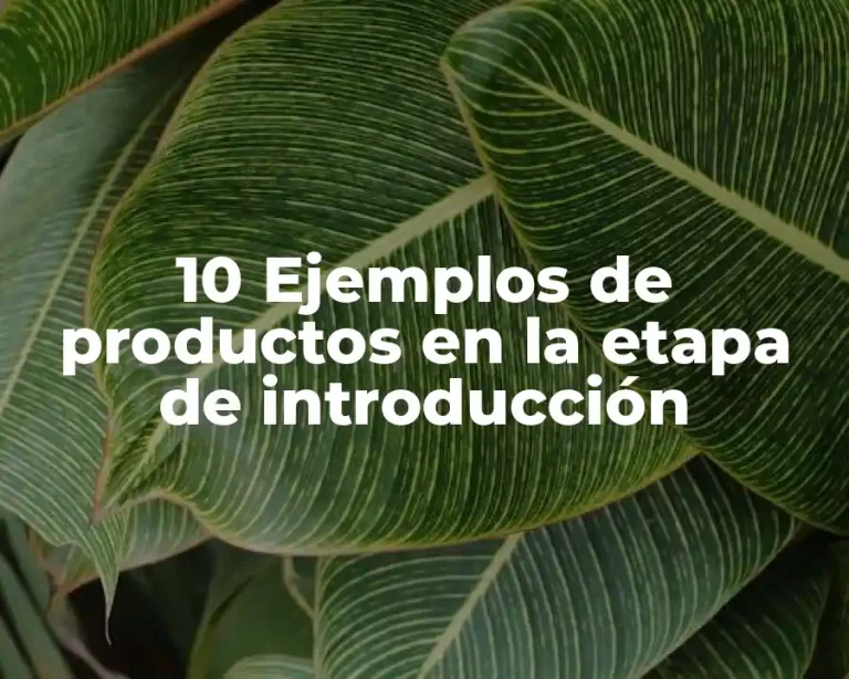 10 Ejemplos de productos en la etapa de introducción