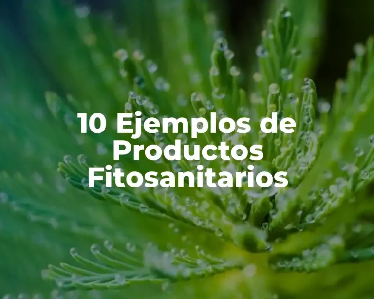 10 Ejemplos de Productos Fitosanitarios