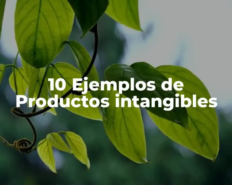 10 Ejemplos de Productos intangibles