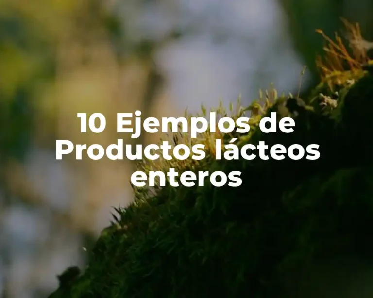 10 Ejemplos de Productos lácteos enteros