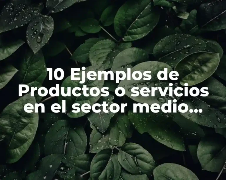10 Ejemplos de Productos o servicios en el sector medio ambiente