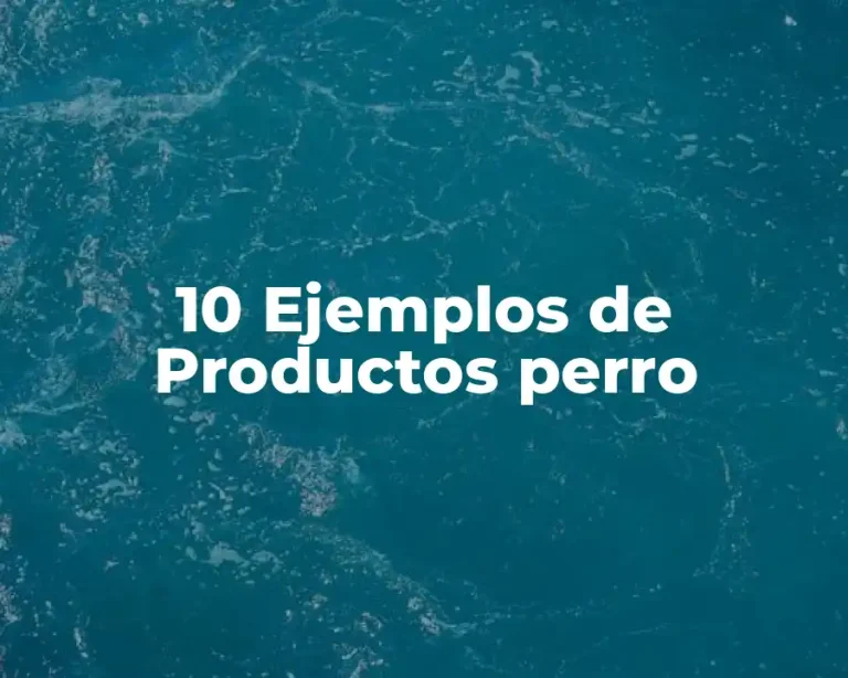 10 Ejemplos de Productos perro