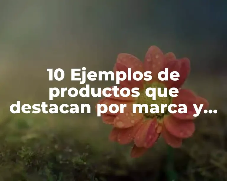 10 Ejemplos de productos que destacan por marca y diseño gráfico