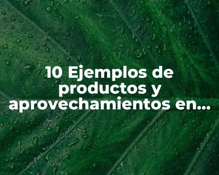 10 Ejemplos de productos y aprovechamientos en materia fiscal