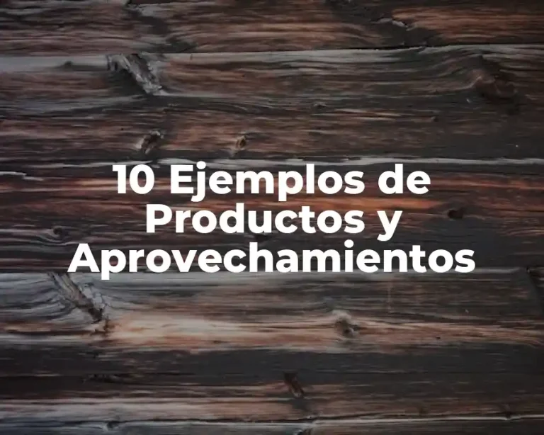 10 Ejemplos de Productos y Aprovechamientos