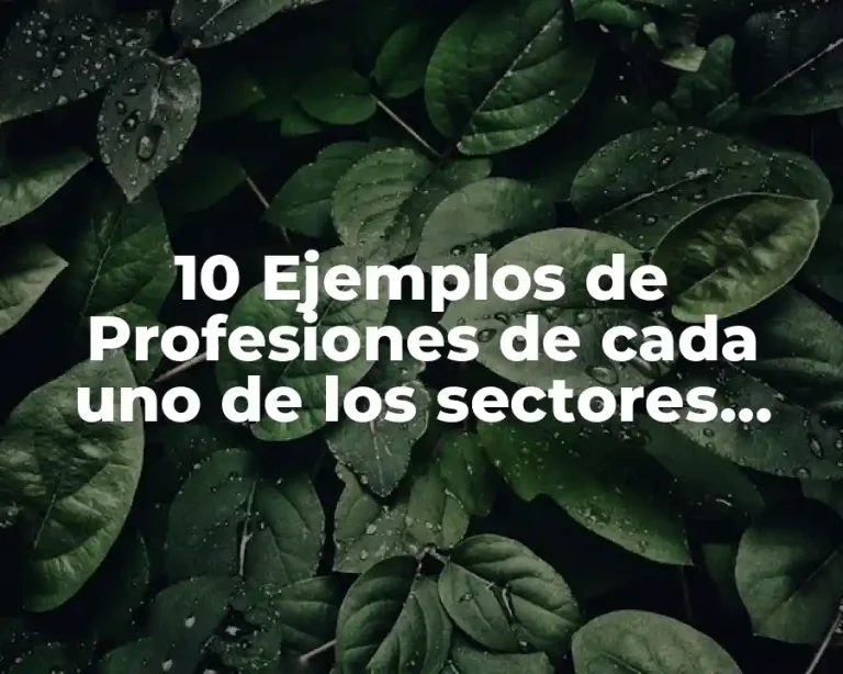 10 Ejemplos de Profesiones de cada uno de los sectores económicos