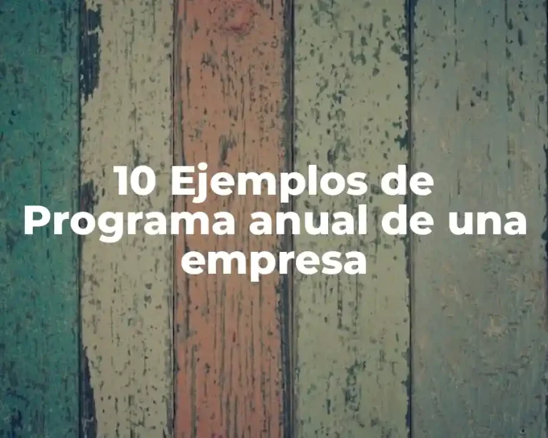 10 Ejemplos de Programa anual de una empresa