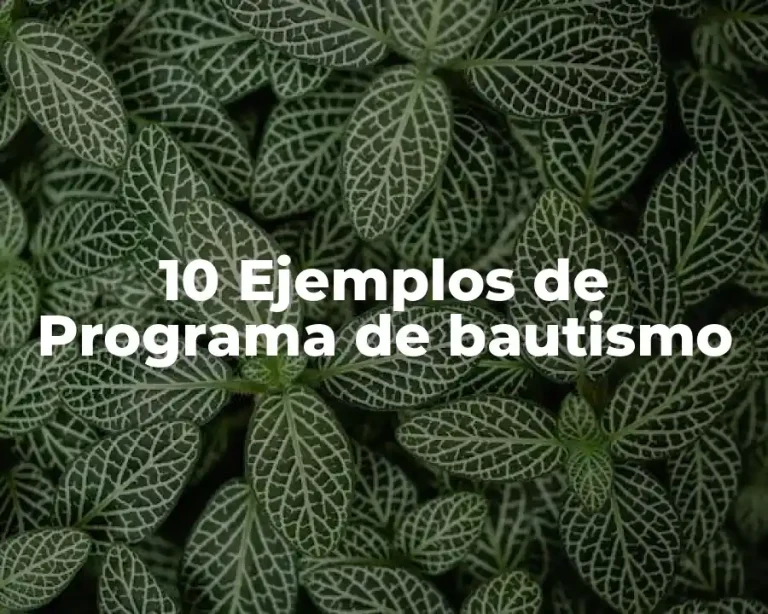 10 Ejemplos de Programa de bautismo