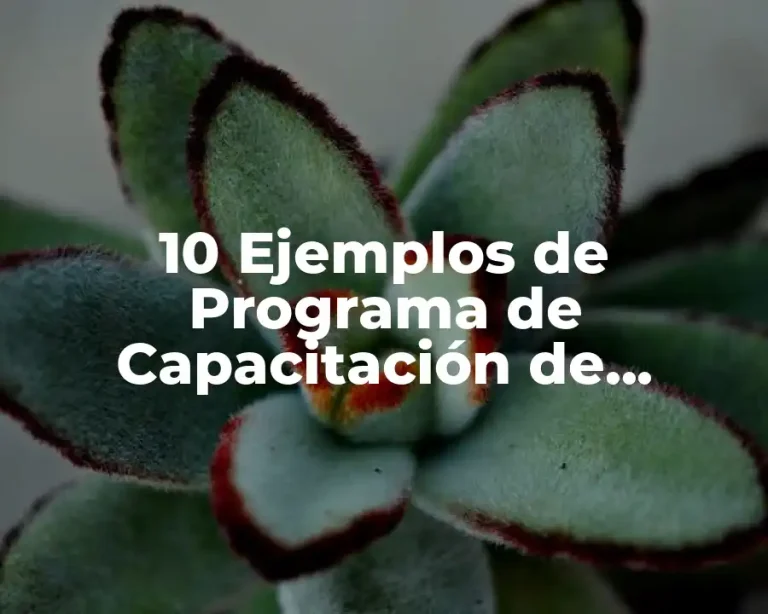 10 Ejemplos de Programa de Capacitación de Personal