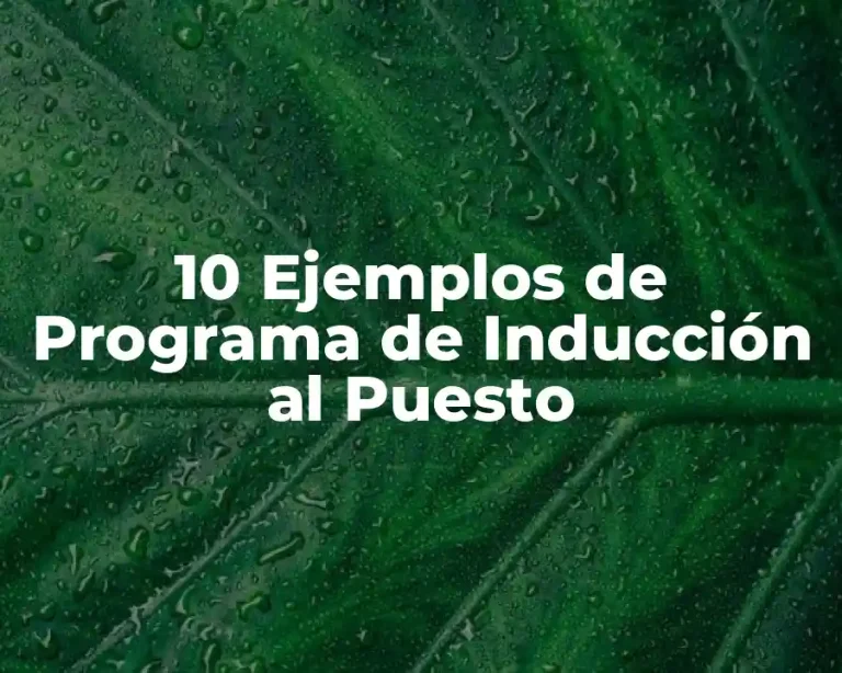 10 Ejemplos de Programa de Inducción al Puesto