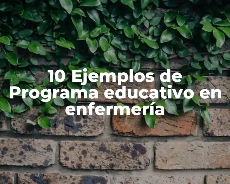 10 Ejemplos de Programa educativo en enfermería