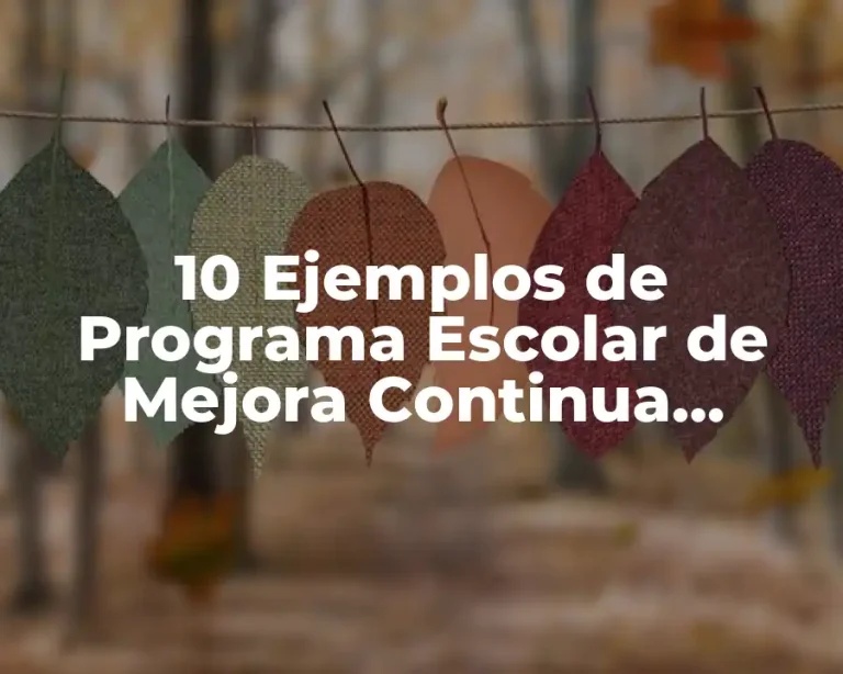 10 Ejemplos de Programa Escolar de Mejora Continua Preescolar