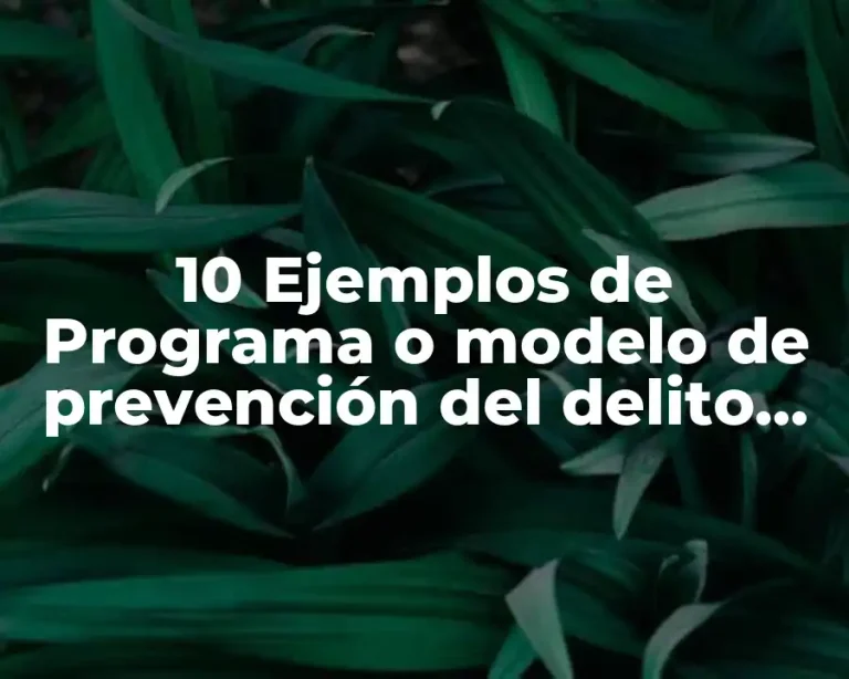 10 Ejemplos de Programa o modelo de prevención del delito internacional