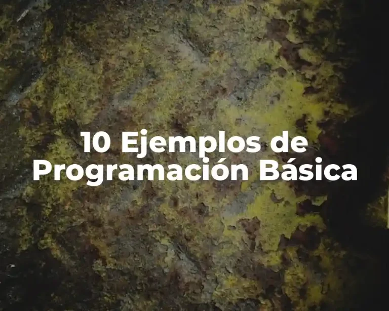 10 Ejemplos de Programación Básica