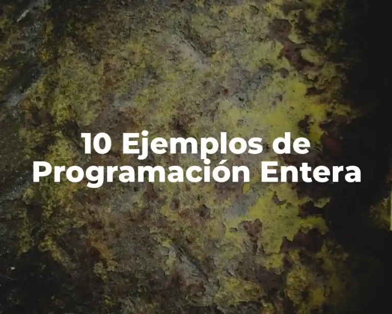 10 Ejemplos de Programación Entera