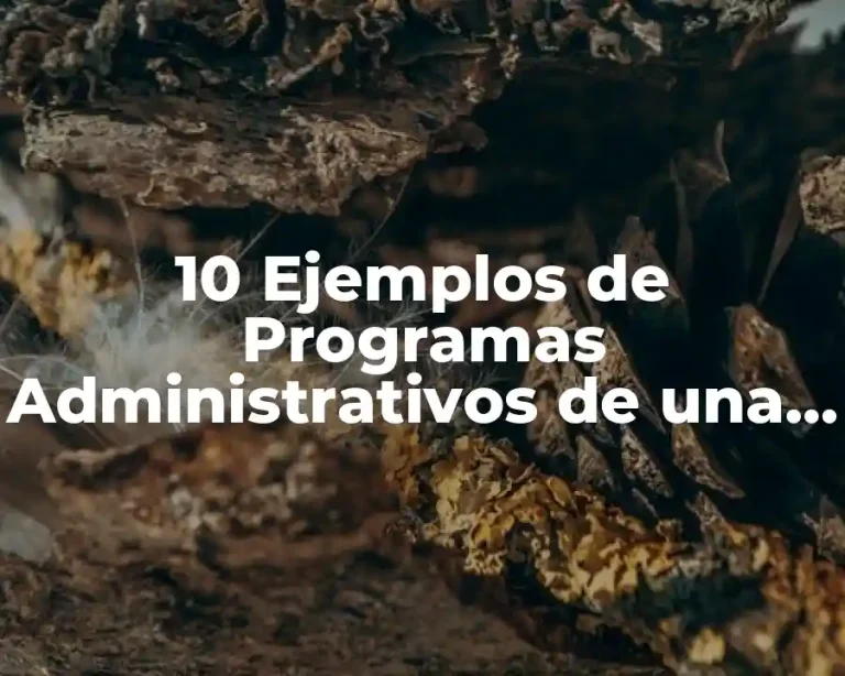 10 Ejemplos de Programas Administrativos de una Empresa