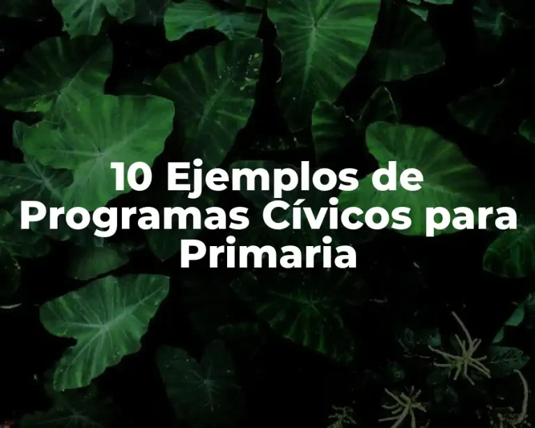 10 Ejemplos de Programas Cívicos para Primaria