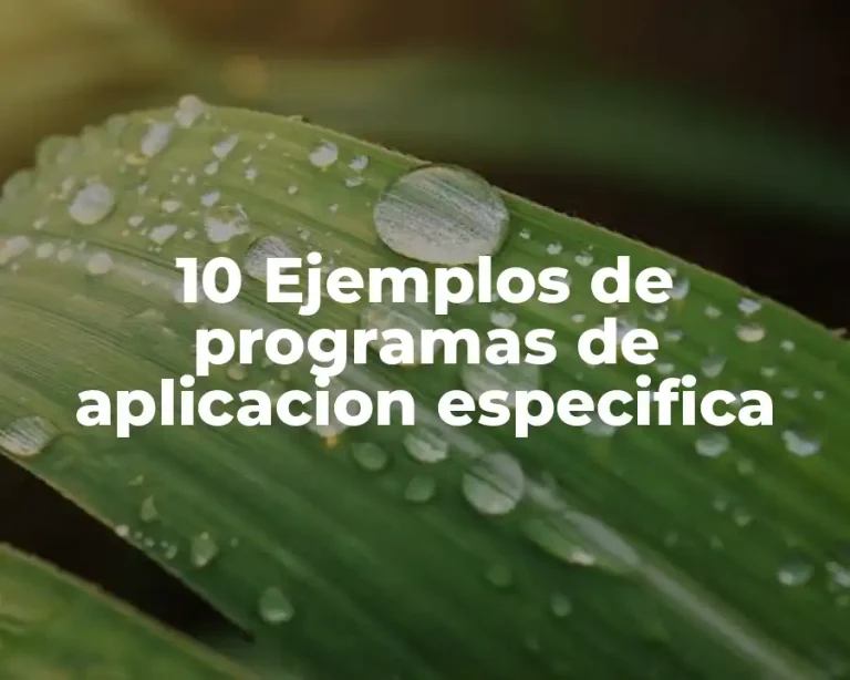 10 Ejemplos de programas de aplicacion especifica