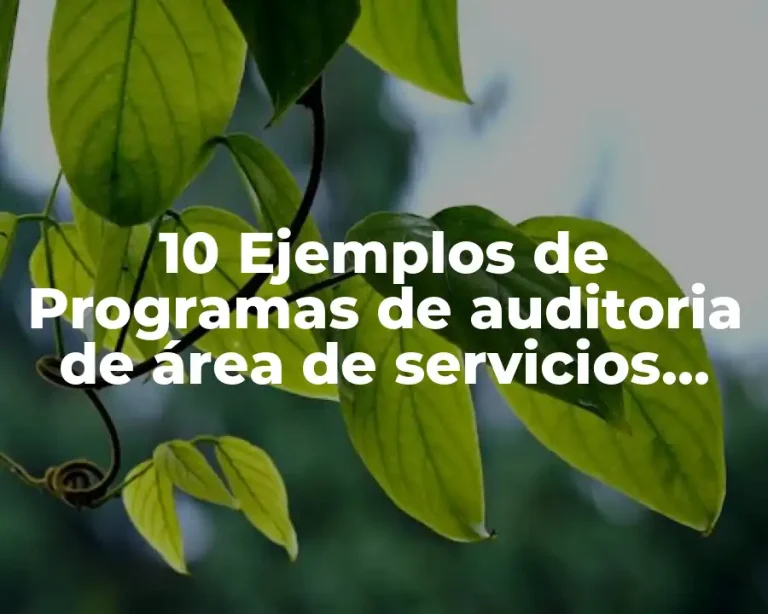 10 Ejemplos de Programas de auditoria de área de servicios procedimientos
