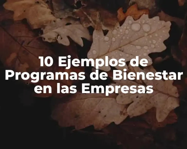 10 Ejemplos de Programas de Bienestar en las Empresas