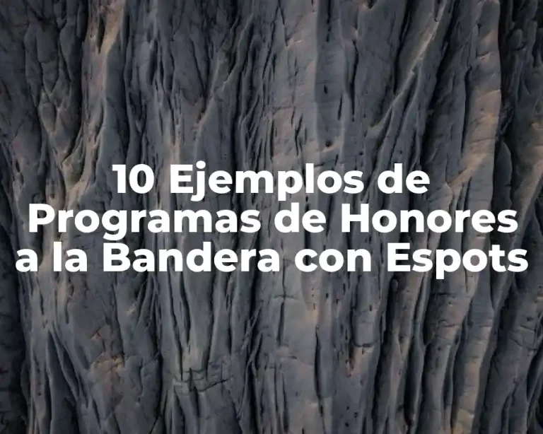 10 Ejemplos de Programas de Honores a la Bandera con Espots