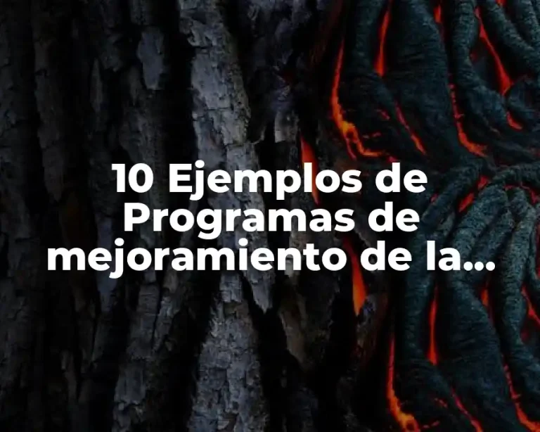 10 Ejemplos de Programas de mejoramiento de la productividad