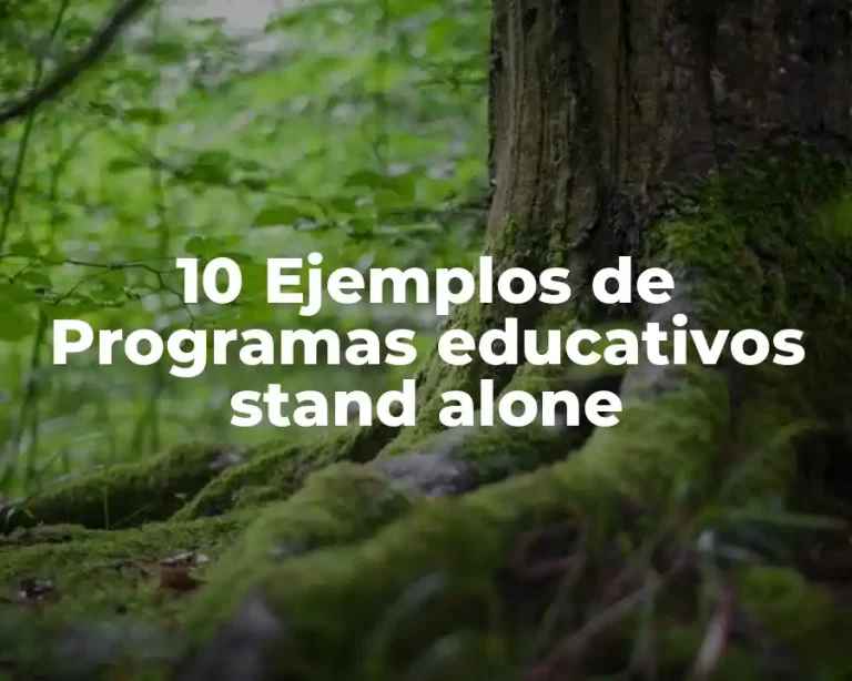 10 Ejemplos de Programas educativos stand alone