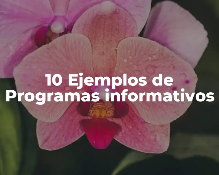 10 Ejemplos de Programas informativos