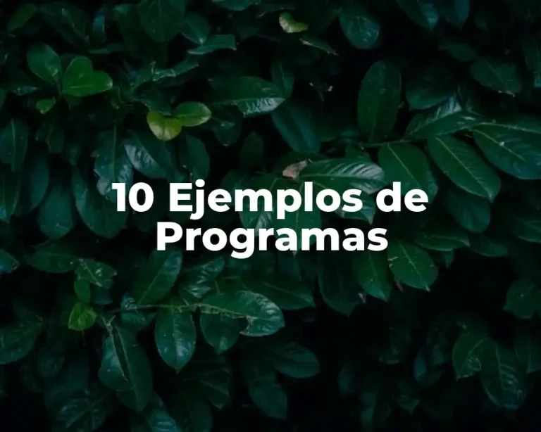 10 Ejemplos de Programas