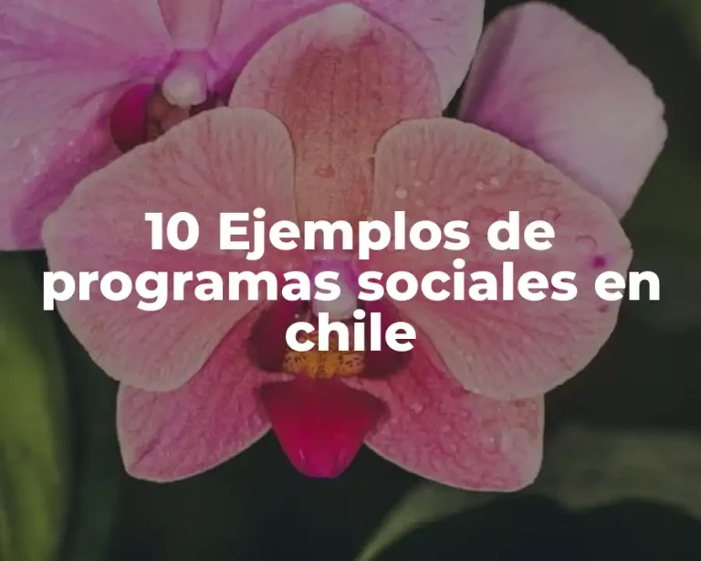 10 Ejemplos de programas sociales en chile