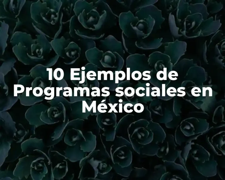 10 Ejemplos de Programas sociales en México