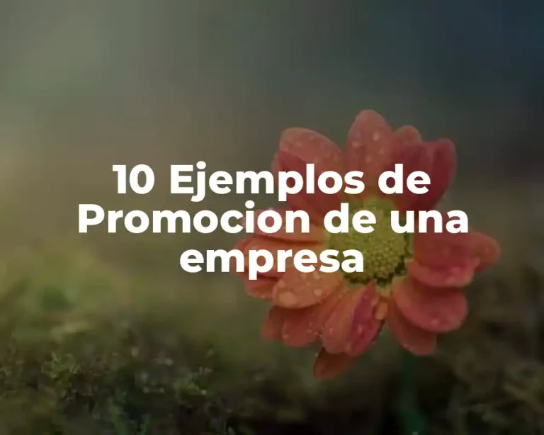 10 Ejemplos de Promocion de una empresa