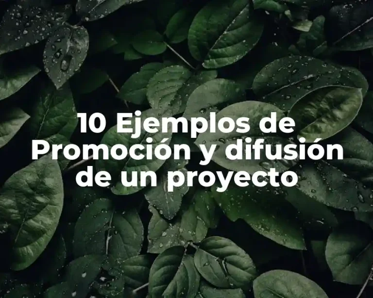 10 Ejemplos de Promoción y difusión de un proyecto