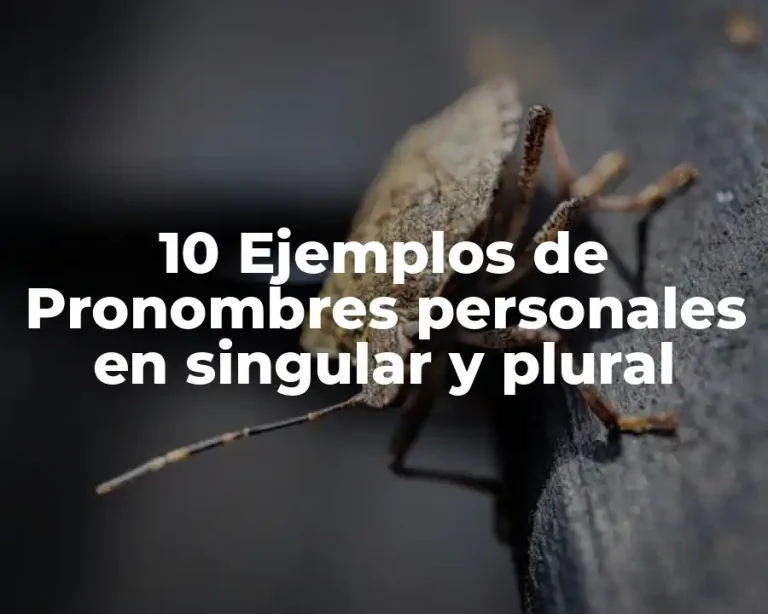 10 Ejemplos de Pronombres personales en singular y plural