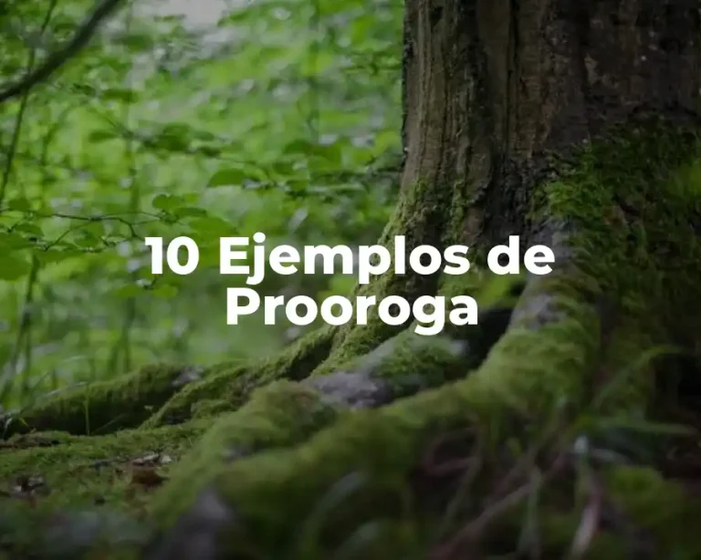 10 Ejemplos de Prooroga