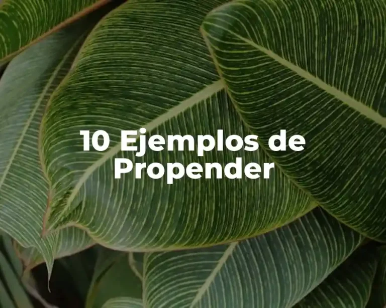 10 Ejemplos de Propender