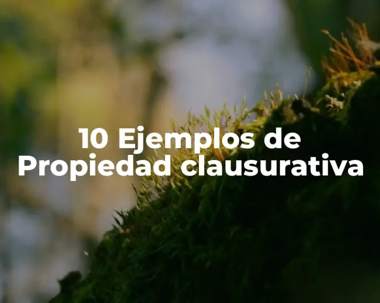 10 Ejemplos de Propiedad clausurativa