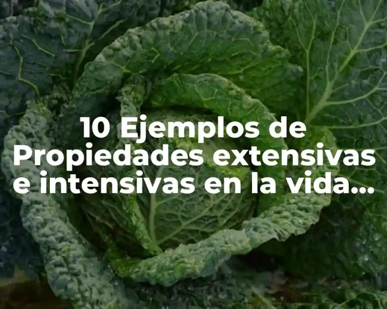 10 Ejemplos de Propiedades extensivas e intensivas en la vida cotidiana