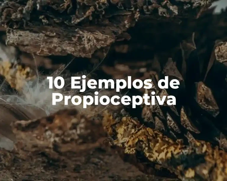 10 Ejemplos de Propioceptiva