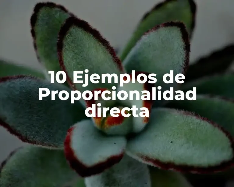 10 Ejemplos de Proporcionalidad directa