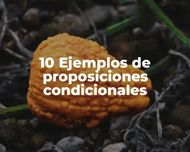 10 Ejemplos de proposiciones condicionales