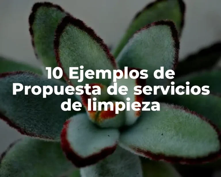10 Ejemplos de Propuesta de servicios de limpieza