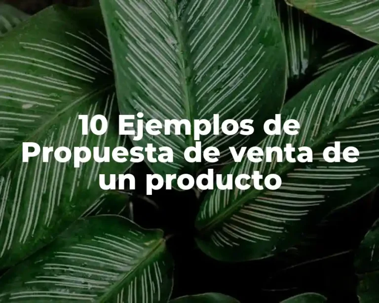 10 Ejemplos de Propuesta de venta de un producto