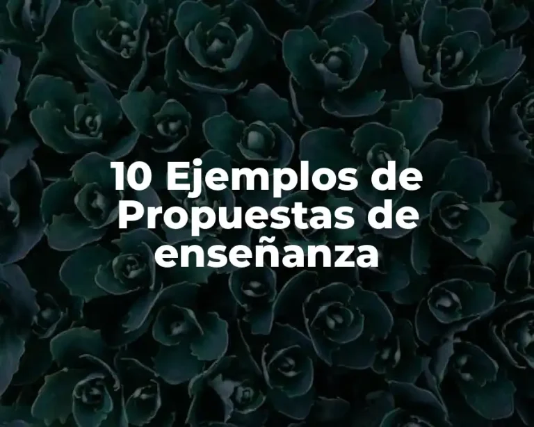 10 Ejemplos de Propuestas de enseñanza