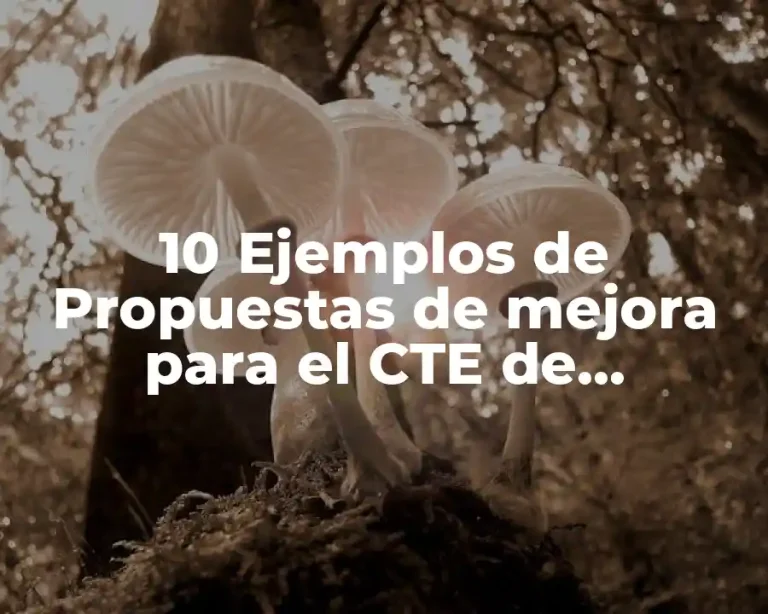 10 Ejemplos de Propuestas de mejora para el CTE de preescolar