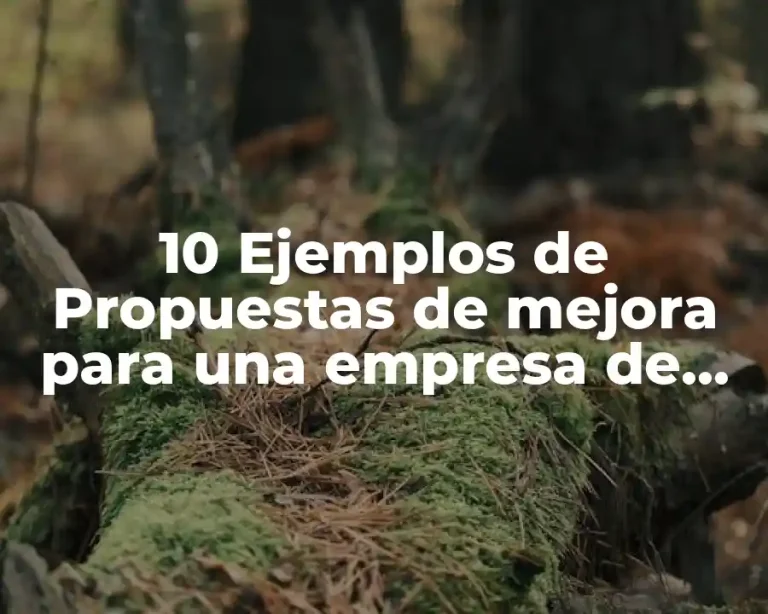 10 Ejemplos de Propuestas de mejora para una empresa de chocolates