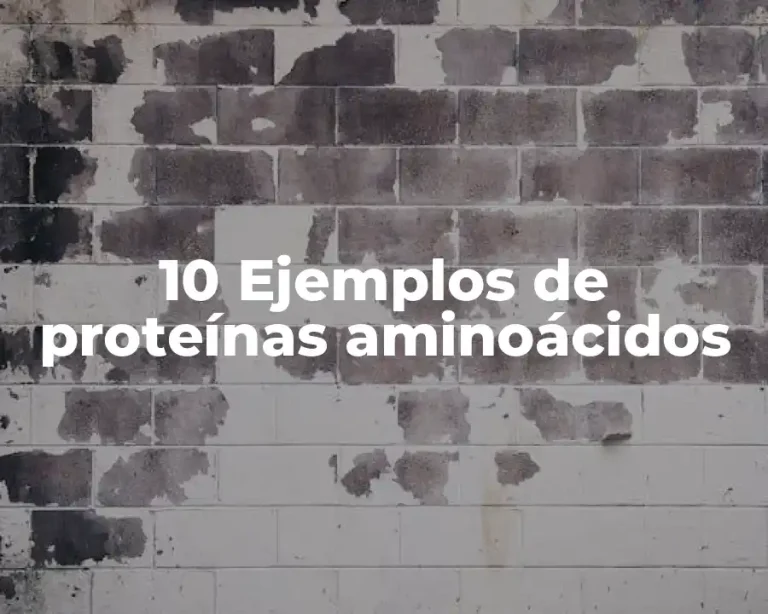 10 Ejemplos de proteínas aminoácidos
