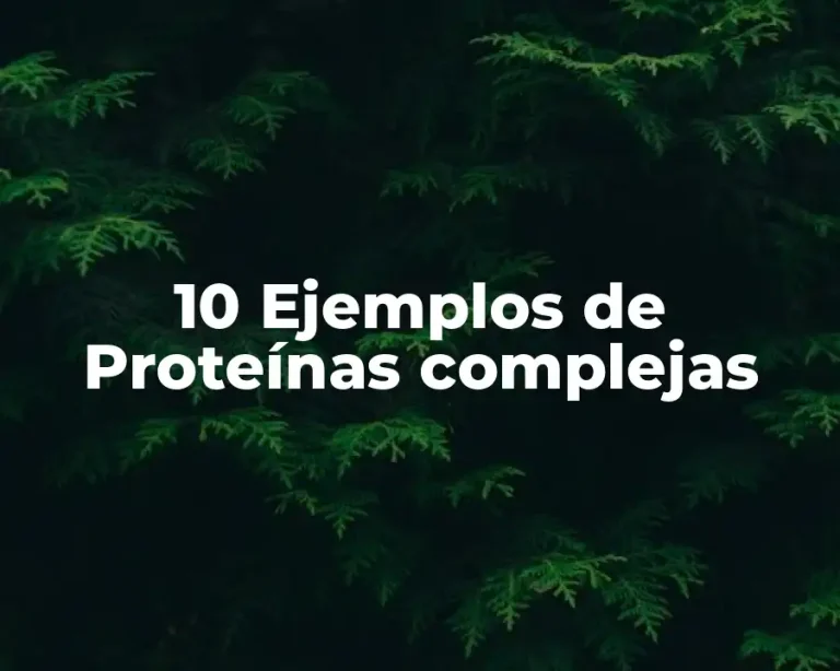 10 Ejemplos de Proteínas complejas