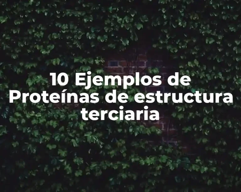 10 Ejemplos de Proteínas de estructura terciaria