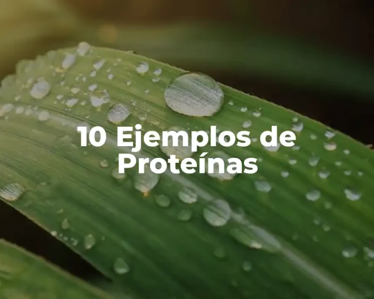 10 Ejemplos de Proteínas